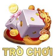 Hệ thống báo cáo 79win