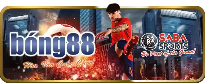 Mạng lưới bảo mật và mã hóa của 79win
